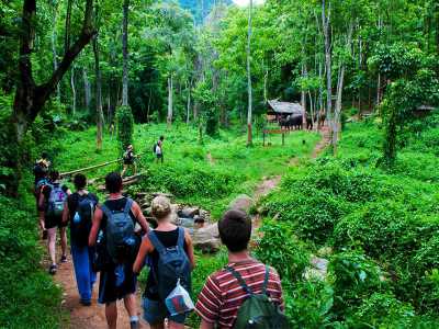 Hanoi - Trang An - Cuc Phuong National Park - Private Ninh Binh Tours - 1 Day