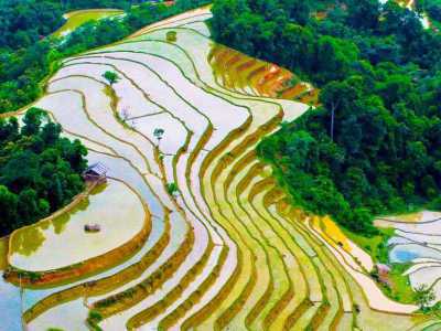 Sapa Tour - 1 Day - Visit: Cat Cat - Sin Chai Villages